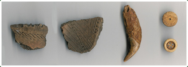 Decorated Indigenous ceramics, bear canine pendant, and 19th century buttons.